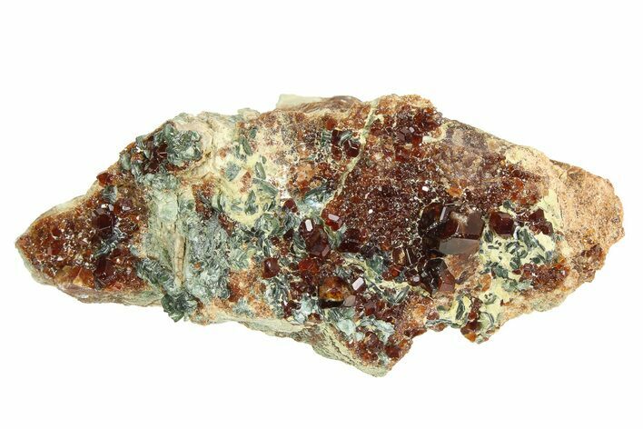 Deep-Red Gemmy Hessonite Garnets with Clinochlore - Italy #352079